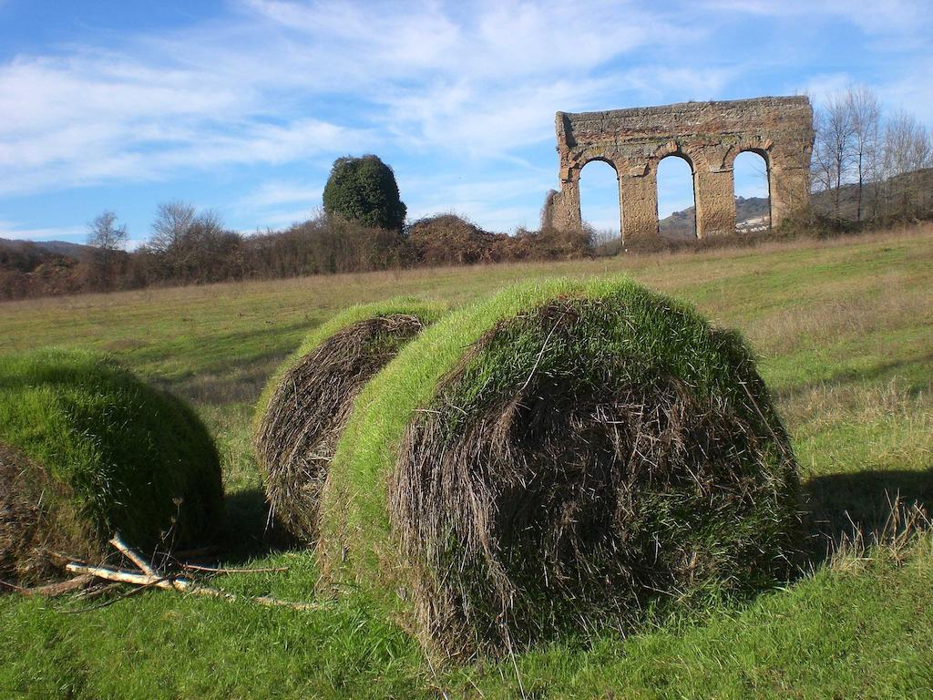 Valle Degli Arci Castel Madama Exteriör bild
